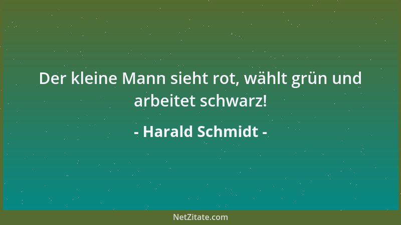 Harald Schmidt - Der kleine Mann sieht rot, wählt grün und arbeitet schwarz!...
