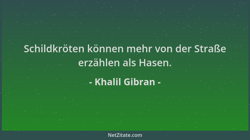 Khalil Gibran - Schildkröten können mehr von der Straße erzählen als Hasen....