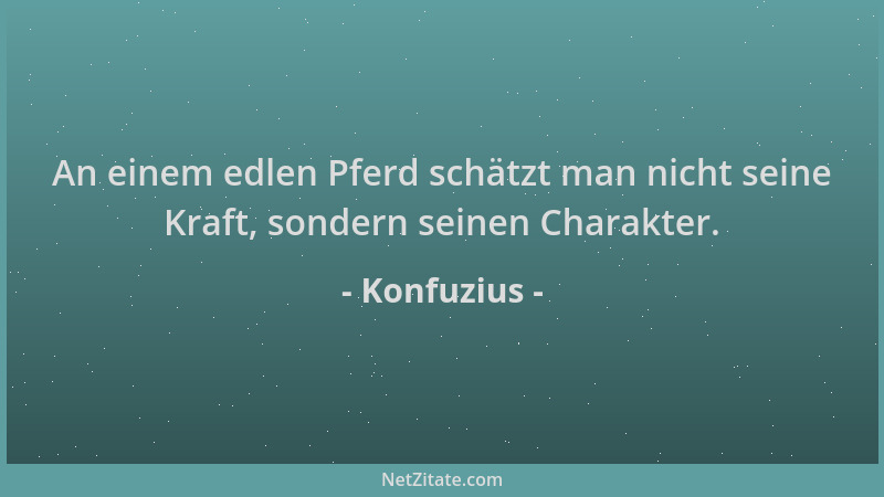 Konfuzius - An einem edlen Pferd schätzt man nicht seine Kraft, sondern seinen Charakter....
