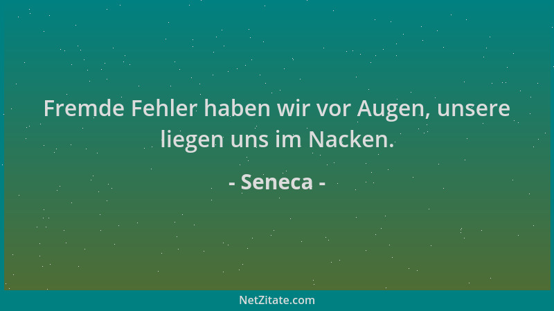 Seneca - Fremde Fehler haben wir vor Augen, unsere liegen uns im Nacken....