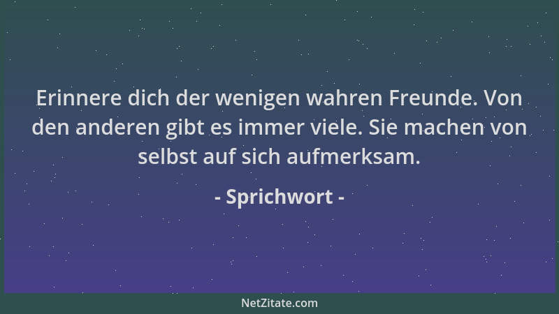 Sprichwort - Erinnere dich der wenigen wahren Freunde. Von den anderen gibt es immer viele. Sie machen von selbst auf sich...