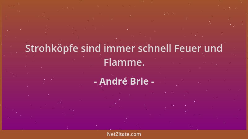 André Brie - Strohköpfe sind immer schnell Feuer und Flamme....
