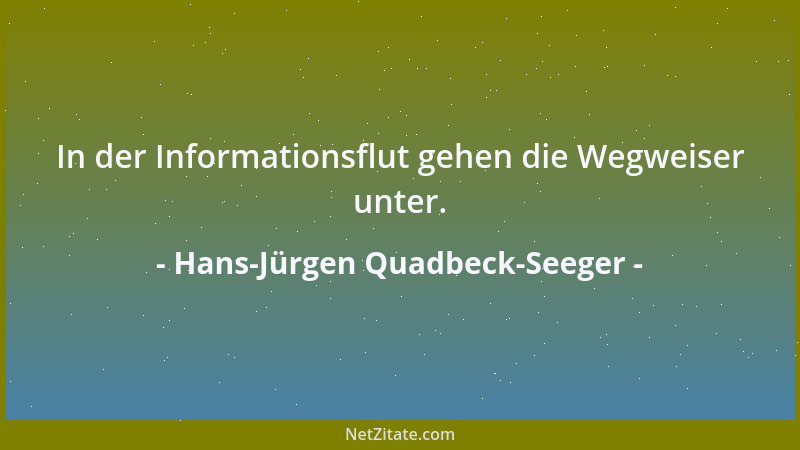Hans-Jürgen Quadbeck-Seeger - In der Informationsflut gehen die Wegweiser unter....