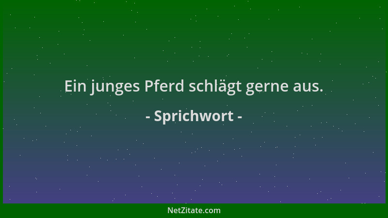 Sprichwort - Ein junges Pferd schlägt gerne aus....