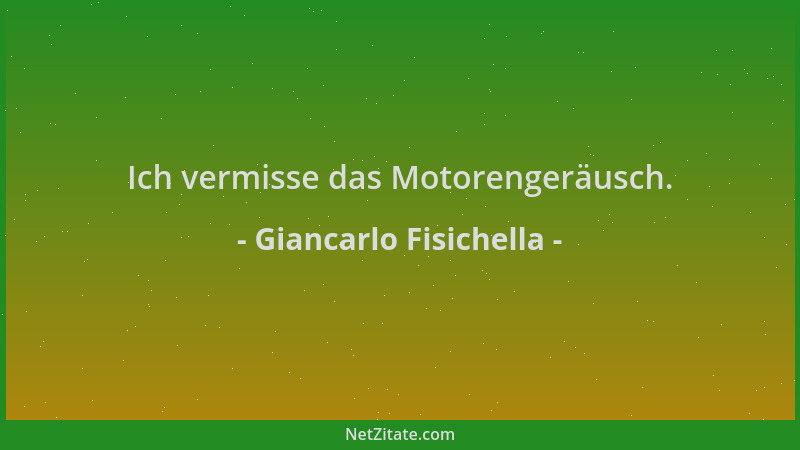 Giancarlo Fisichella - Ich vermisse das Motorengeräusch....
