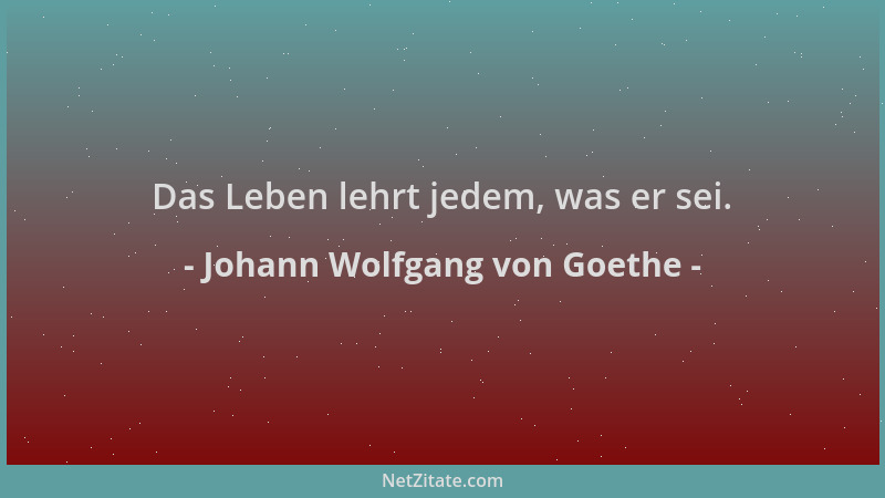 Johann Wolfgang von Goethe - Das Leben lehrt jedem, was er sei....