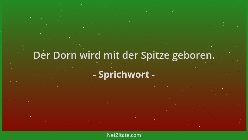 Sprichwort - Der Dorn wird mit der Spitze geboren....