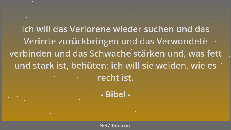 Bibel - Ich will das Verlorene wieder suchen und das Verirrte zurückbringen und das Verwundete verbinden und das Schwache s...