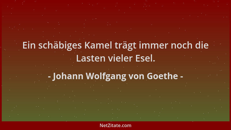 Johann Wolfgang von Goethe - Ein schäbiges Kamel trägt immer noch die Lasten vieler Esel....
