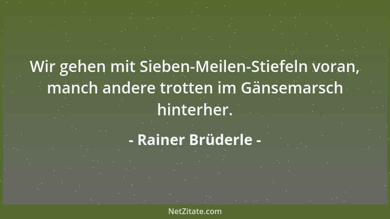 Rainer Brüderle - Wir gehen mit Sieben-Meilen-Stiefeln voran, manch andere trotten im Gänsemarsch hinterher....