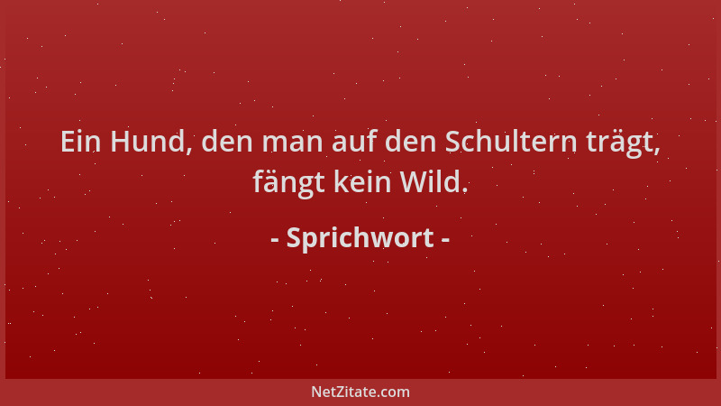 Sprichwort - Ein Hund, den man auf den Schultern trägt, fängt kein Wild....