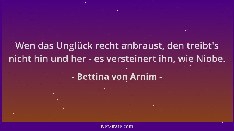 Bettina von Arnim - Wen das Unglück recht anbraust, den treibt 's nicht hin und her - es versteinert ihn, wie Niobe....