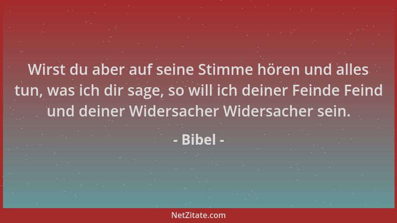 Bibel - Wirst du aber auf seine Stimme hören und alles tun, was ich dir sage, so will ich deiner Feinde Feind und deiner Wi...