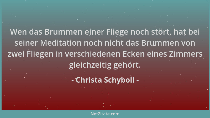 Christa Schyboll - Wen das Brummen einer Fliege noch stört, hat bei seiner Meditation noch nicht das Brummen von zwei Flieg...