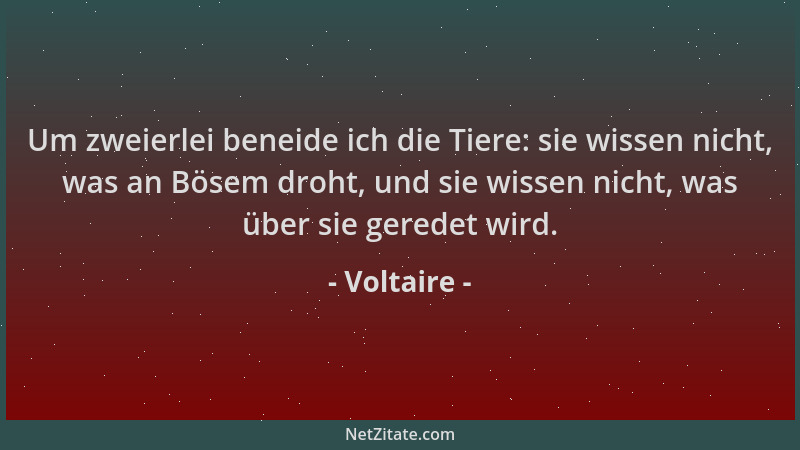 Voltaire - Um zweierlei beneide ich die Tiere: sie wissen nicht, was an Bösem droht, und sie wissen nicht, was über sie ger...