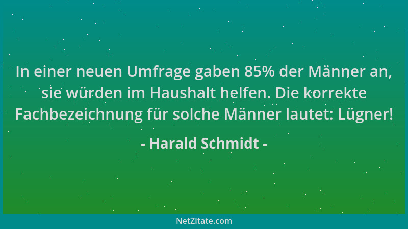 Harald Schmidt - In einer neuen Umfrage gaben 85% der Männer an, sie würden im Haushalt helfen. Die korrekte Fachbezeichnun...