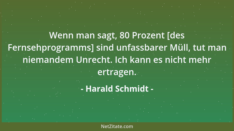 Harald Schmidt - Wenn man sagt, 80 Prozent [des Fernsehprogramms] sind unfassbarer Müll, tut man niemandem Unrecht. Ich kan...