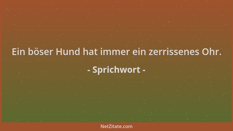 Sprichwort - Ein böser Hund hat immer ein zerrissenes Ohr....