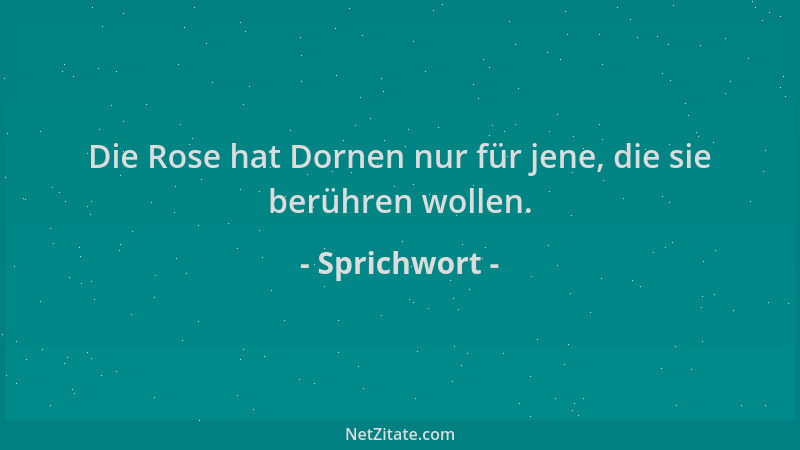 Sprichwort - Die Rose hat Dornen nur für jene, die sie berühren wollen....