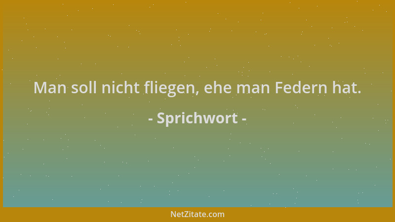 Sprichwort - Man soll nicht fliegen, ehe man Federn hat....
