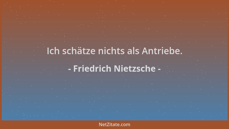 Friedrich Nietzsche - Ich schätze nichts als Antriebe....
