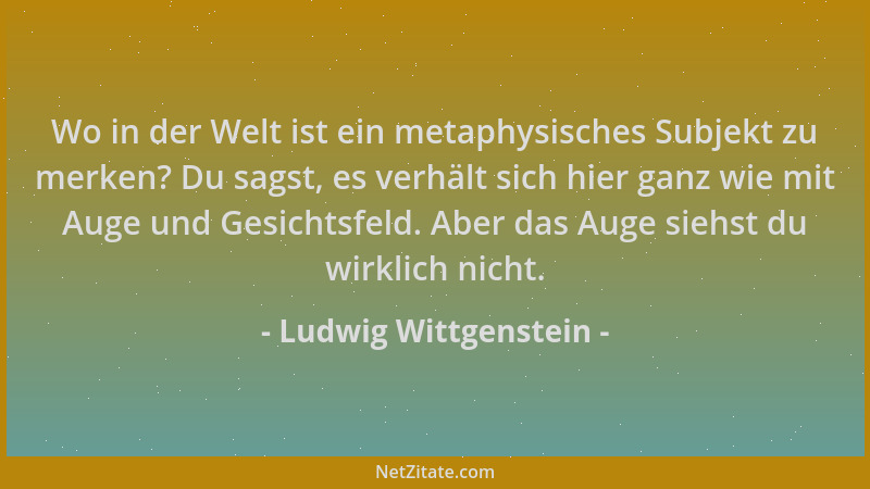 Ludwig Wittgenstein - Wo in der Welt ist ein metaphysisches Subjekt zu merken? Du sagst, es verhält sich hier ganz wie mit...