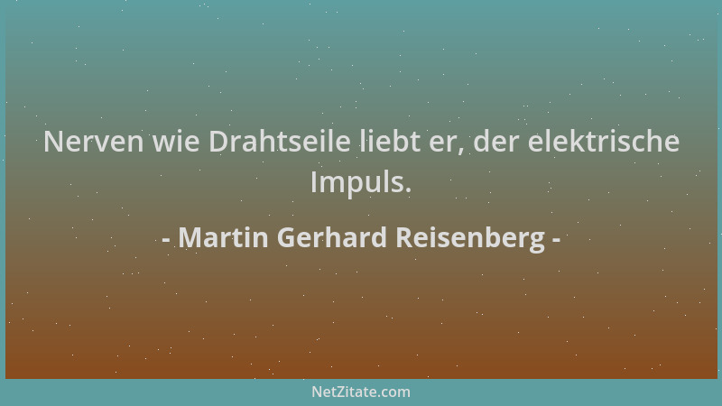 Martin Gerhard Reisenberg - Nerven wie Drahtseile liebt er, der elektrische Impuls....