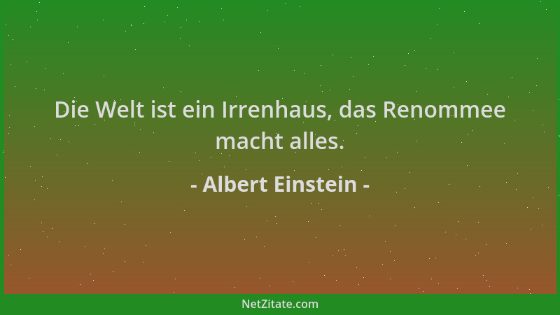 Albert Einstein - Die Welt ist ein Irrenhaus, das Renommee macht alles....