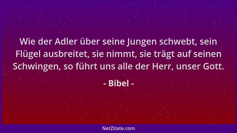 Bibel - Wie der Adler über seine Jungen schwebt, sein Flügel ausbreitet, sie nimmt, sie trägt auf seinen Schwingen, so führ...