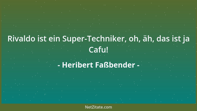 Heribert Faßbender - Rivaldo ist ein Super-Techniker, oh, äh, das ist ja Cafu!...