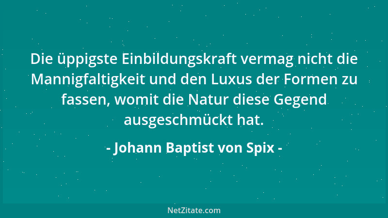 Johann Baptist von Spix - Die üppigste Einbildungskraft vermag nicht die Mannigfaltigkeit und den Luxus der Formen zu fasse...