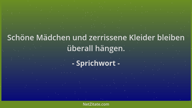 Sprichwort - Schöne Mädchen und zerrissene Kleider bleiben überall hängen....