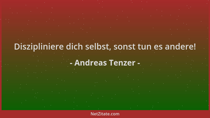 Andreas Tenzer - Diszipliniere dich selbst, sonst tun es andere!...
