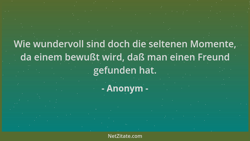 Anonym - Wie wundervoll sind doch die seltenen Momente, da einem bewußt wird, daß man einen Freund gefunden hat....