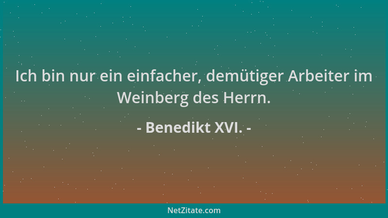 Benedikt XVI. - Ich bin nur ein einfacher, demütiger Arbeiter im Weinberg des Herrn....