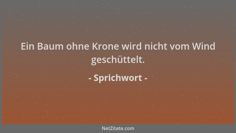 Sprichwort - Ein Baum ohne Krone wird nicht vom Wind geschüttelt....