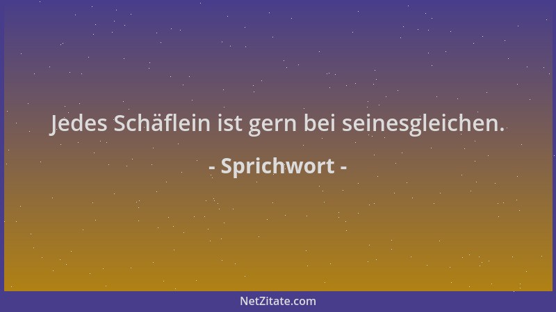 Sprichwort - Jedes Schäflein ist gern bei seinesgleichen....