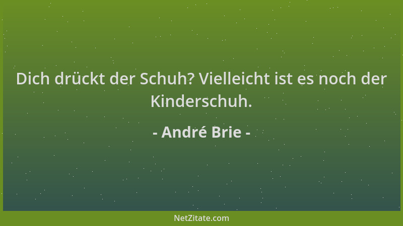 André Brie - Dich drückt der Schuh? Vielleicht ist es noch der Kinderschuh....