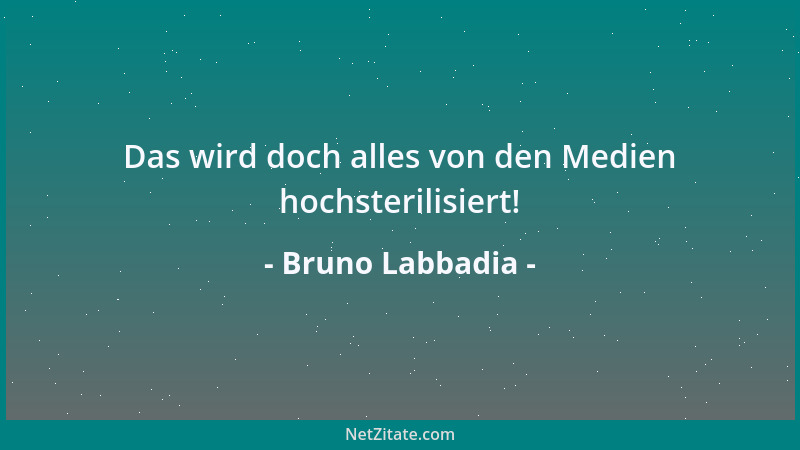 Bruno Labbadia - Das wird doch alles von den Medien hochsterilisiert!...
