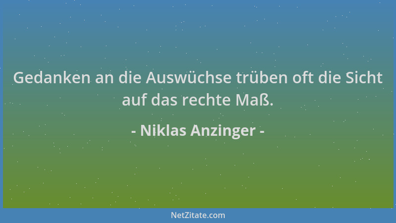 Niklas Anzinger - Gedanken an die Auswüchse trüben oft die Sicht auf das rechte Maß....