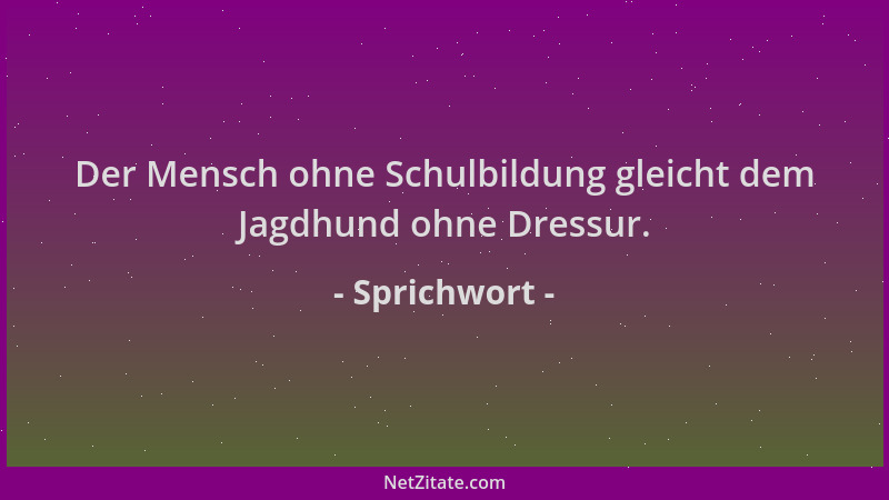 Sprichwort - Der Mensch ohne Schulbildung gleicht dem Jagdhund ohne Dressur....