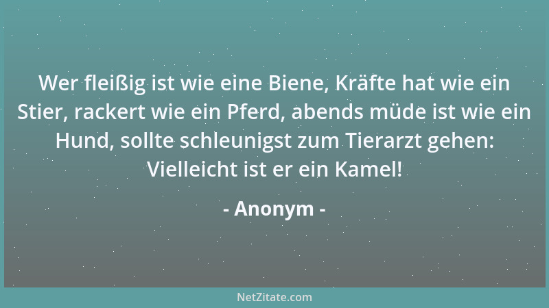 Anonym - Wer fleißig ist wie eine Biene, Kräfte hat wie ein Stier, rackert wie ein Pferd, abends müde ist wie ein Hund, sol...