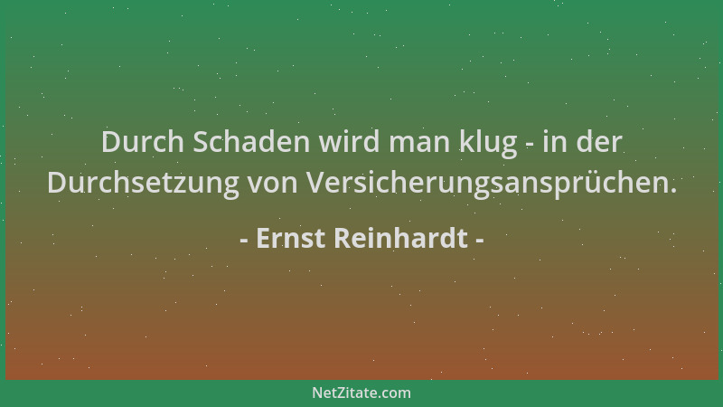 Ernst Reinhardt - Durch Schaden wird man klug - in der Durchsetzung von Versicherungsansprüchen....