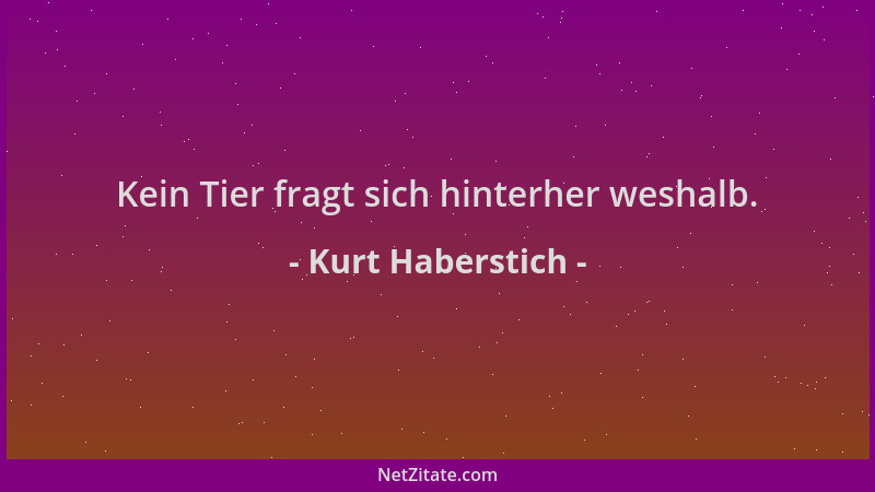 Kurt Haberstich - Kein Tier fragt sich hinterher weshalb....