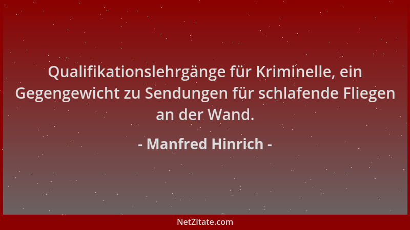 Manfred Hinrich - Qualifikationslehrgänge für Kriminelle, ein Gegengewicht zu Sendungen für schlafende Fliegen an der Wand....