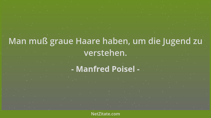 Manfred Poisel - Man muß graue Haare haben, um die Jugend zu verstehen....