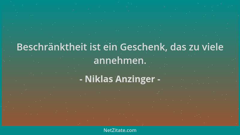 Niklas Anzinger - Beschränktheit ist ein Geschenk, das zu viele annehmen....