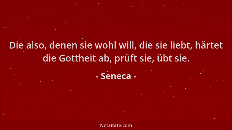 Seneca - Die also, denen sie wohl will, die sie liebt, härtet die Gottheit ab, prüft sie, übt sie....