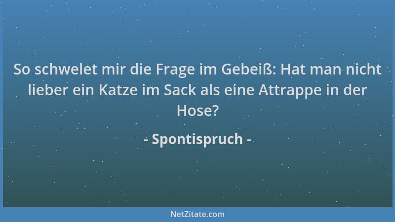 Spontispruch - So schwelet mir die Frage im Gebeiß: Hat man nicht lieber ein Katze im Sack als eine Attrappe in der Hose?...