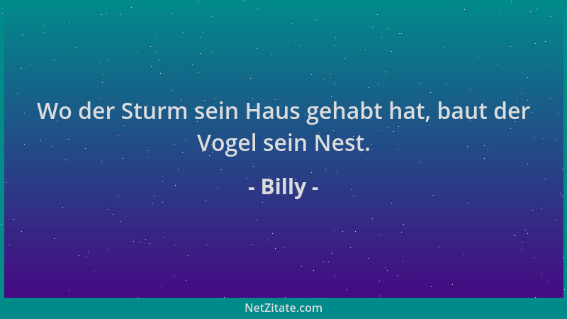 Billy - Wo der Sturm sein Haus gehabt hat, baut der Vogel sein Nest....